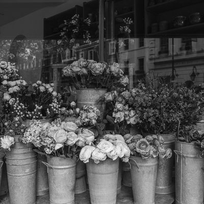 A florist&rsquo;s window with buckets of cut flowers